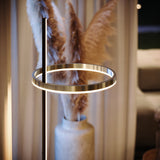 Skapetze - Ring LED Floor Lamp