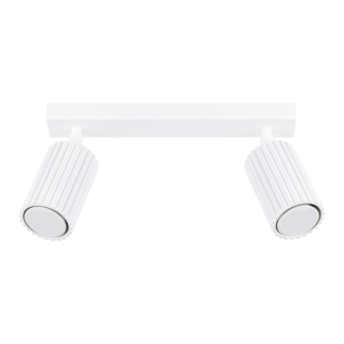 Ceiling lamp KARBON 2 white