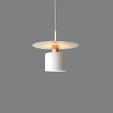 Modern and Elegant Jet Pendant Lamp