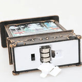 LumiGlobe Illuminated Snow Lantern