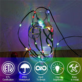 GLOWLINE β 10M-100M Waterproof LED String Light with 8 Modes