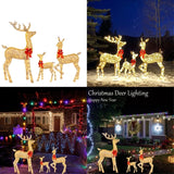 LumiGift 3-Piece Illuminated Gift Box Set with LED