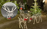 LumiRein LED Reindeer Family