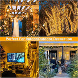 LumiFest 10M–100M LED String Fairy Lights