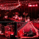 LumiFest LED Garland 5M–100M