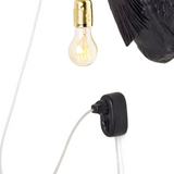 Jasmin Djerzic - Flying Dutchman