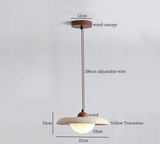 ZenAura Japanese Wabi-Sabi LED Pendant Lamp