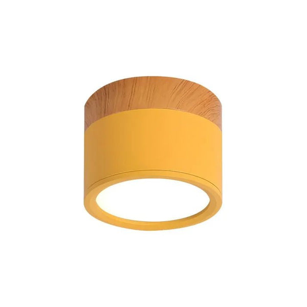 Nordic Cilinder Led Plafondlampen Voor Gangen - plafondlamp - verlicht
