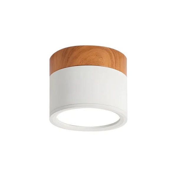 Nordic Cilinder Led Plafondlampen Voor Gangen - plafondlamp - in de kamer