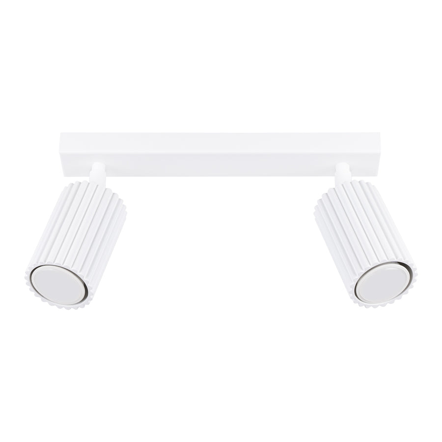 Ceiling lamp KARBON 2 white