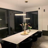 skapetze - S.LUCE Ring 40 Direct or Indirect LED Pendant Lamp