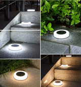Modern Solar Powered LED Garden Light