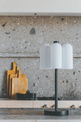 Schwung Lighting - Odyssey Table Lamp 6