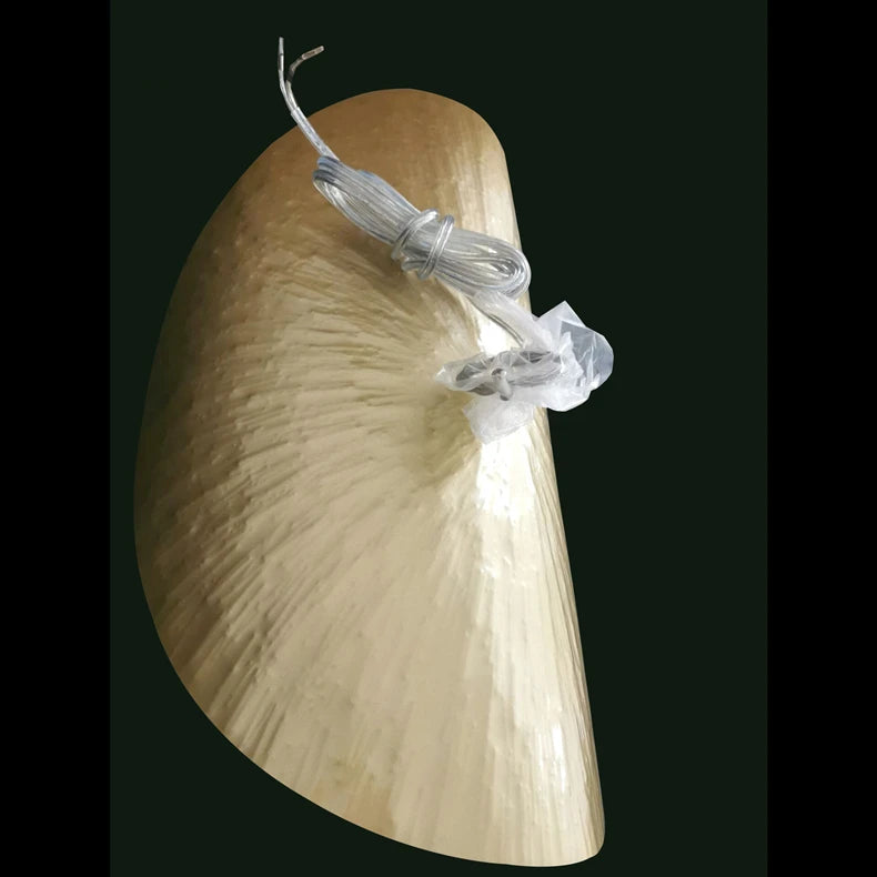 Minimalistische Koperen Hanglamp in Lotusblaad Ontwerp - hanglampen