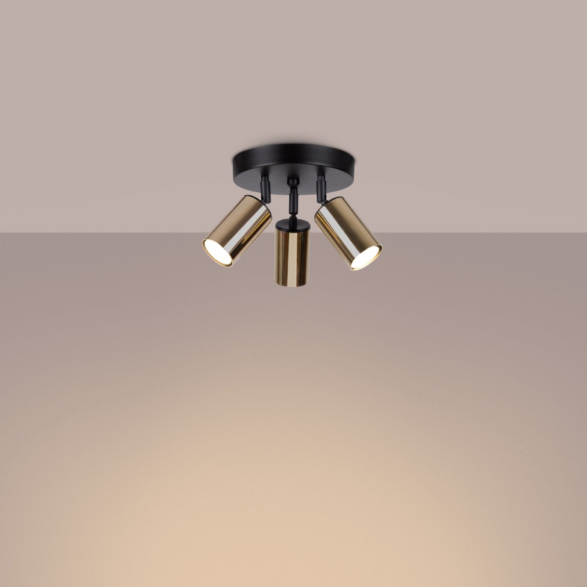 Lightinup SRL - Winx 3P Black/Gold Ceiling Lamp