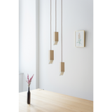 FORMAMINIMA - Trio Chandelier