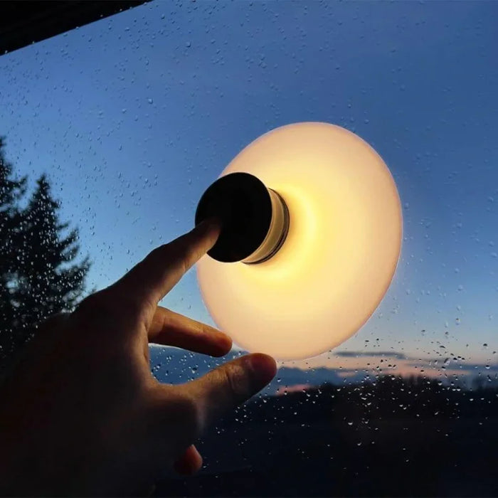 Rechargeable Suction Cup Light 